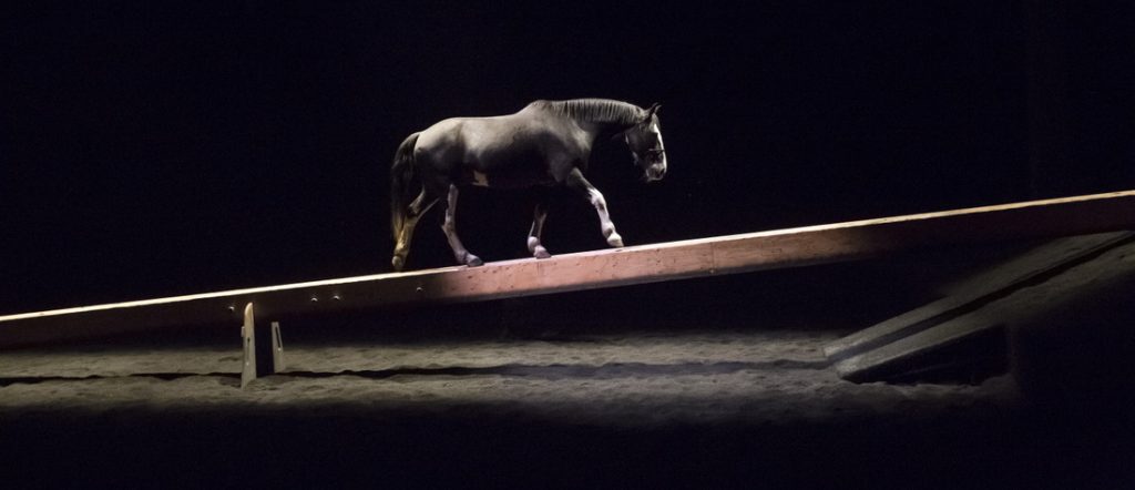 Poutre équestre zingaro