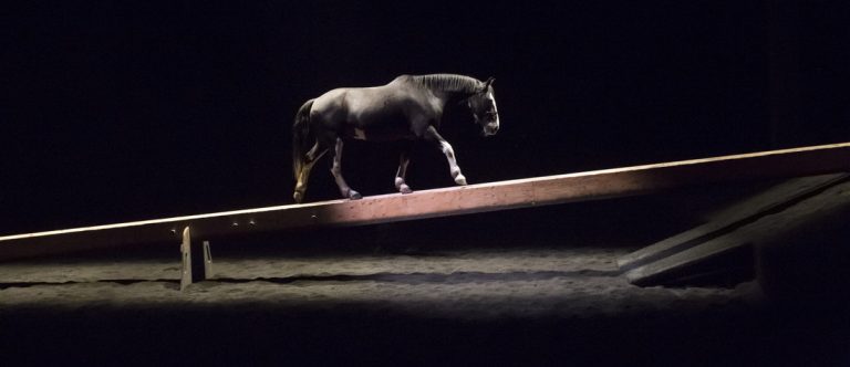 Poutre équestre zingaro